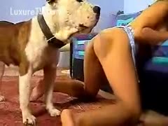 Dog inserted his cock precisely into his master&#039;s hole.